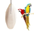 thumbnail image 1 of 1Bag Cuttlefish Cuttle Fish Bone Parrotts Birds Reptiles Food Tacks Tortois, 1 of 1