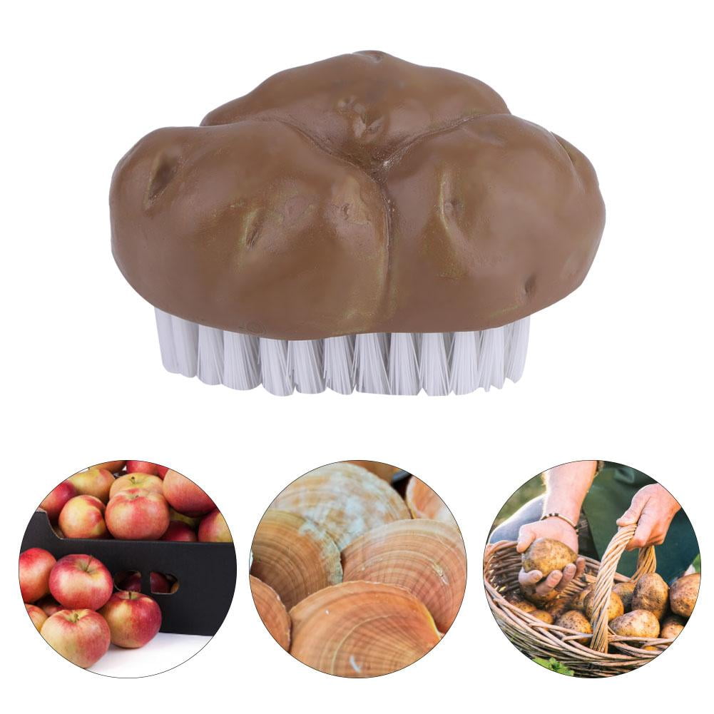 LYUMO Multipurpose Resin Brush Potato Vegetable Fruit Cleaning Brush