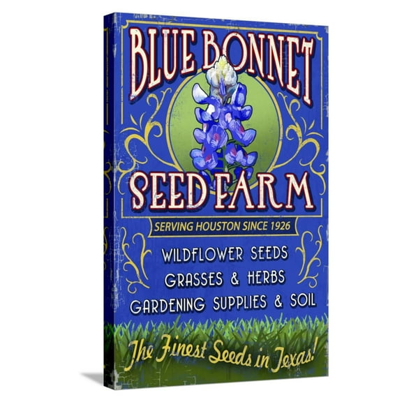 Art.com Texas Blue Bonnet Farm Stretched Canvas Print Wall Art by Lantern Press, 16" x 24"