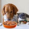 thumbnail image 2 of Agiferg Slow Feed Dog Bowl Insert Interactive Puzzle Maze Feeder For Fast Eaters Prevents Gulping And Vomiting, 2 of 9