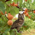 thumbnail image 4 of CHENMEI Dorugage Owl Bird Scare Flat Scarers with Reflective Tape for Garden, 4 of 4