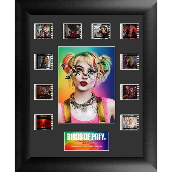 Birds Of Prey (S1) Mini Montage Framed FilmCells Presentation