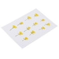 thumbnail image 1 of AMLESO 12 Pieces Dried Pressed Flowers Arrangements Specimens DIY Handmade Materials, 1 of 8