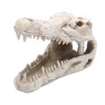 thumbnail image 4 of Dinosaur Aquarium Decorations Fish Figurine Triceratops Skull Novelty Dinosaur Fish Tank Decorations Resin Ornament Decorate for garden and home, 4 of 9