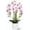 White and Pink 3 Stems, variant on Women Summer Sleeveless Solid Color Round Neck Strap Vest T-shirts Tops