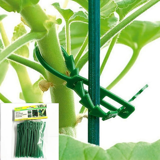 100 Pcs Attaches Réglables Flexibles Attaches de Jardin Vertes Multifonctionnelles Robustes Attaches de Jardin Pliables Supportent Arbres et Arbustes Grandes Pinces pour Cheveux Longs Mâchoires Moyennes Pinces à Cheveux