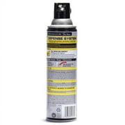 Raid Wasp & Hornet Killer Spray 14 oz