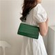 thumbnail image 4 of Bolso de moda para mujer Bolso con estampado de cocodrilo Bolsos de mano Bolso de cuero PU (Verde) Sywqhk Para Estrenar, 4 of 6