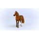 thumbnail image 3 of Figura Schleich Horse Club 2023 Auténtica majestuosa peruana Pasos Mare, 3 of 6