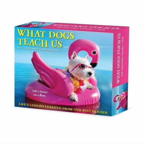 What Dogs Teach Us 2026 Box Calendar, (Paperback)