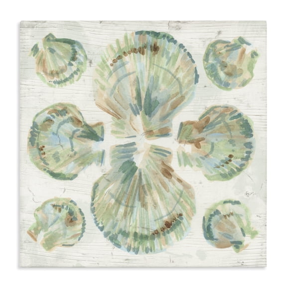 Stupell Industries Coastal Saltwashed Shells Symmetry Canvas Art, 17 x 17, by June Erica Vess
