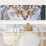 Color-Banner 2 Pieces Modern Canvas Wall Art Cat Sleeping for Living Room Home Decorations - 24"x36" x 2 Panels