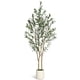 thumbnail image 1 of QinaQin Árbol de olivo artificial de 5 pies con maceta blanca y frutos realistas, planta decorativa para sala, oficina o recibidor, 1 of 9