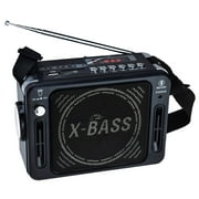 QFX Karaoke Multimedia Speaker with FM Radio- Black