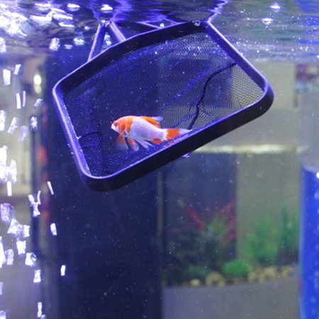 Retractable In Fish Mesh Fish Shrimp Capture Aquarium Tools Aquarium Fishing Tank ...