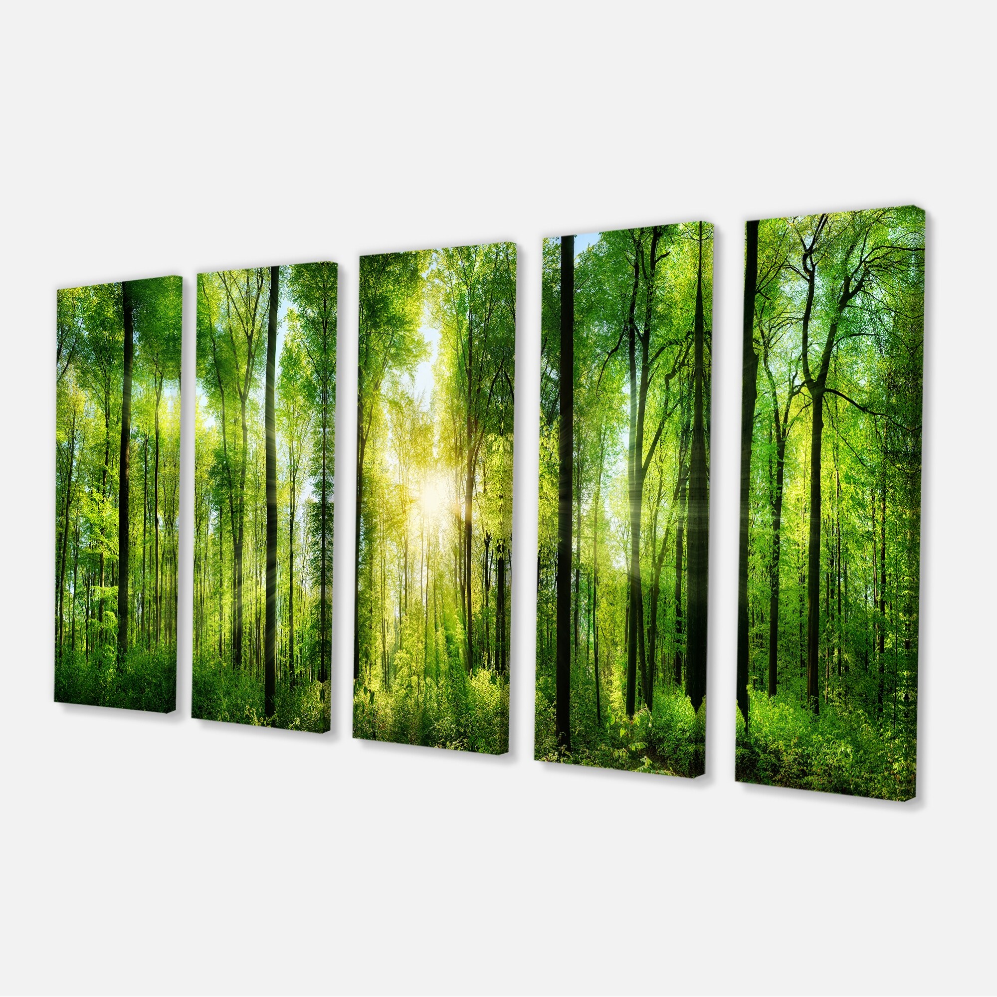 Designart 'Forest with Rays of Sun Panorama ' Landscape Art Print Canvas