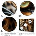 thumbnail image 3 of Designart "Closeup of Tiger s Eye Wildlife Encounter" Animals Floater Framed Wall Art Print, 3 of 7