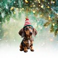 thumbnail image 5 of Ndcxsfigh Adorno navideño para perro dibujos animados acrílico para perro suministros para fiesta en casa (E-1), 5 of 5