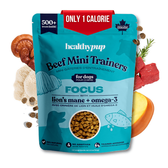 The Healthypup Co – Focus Mini Trainer – Soft Beef Training Treats for Dogs, 6.5-oz bag