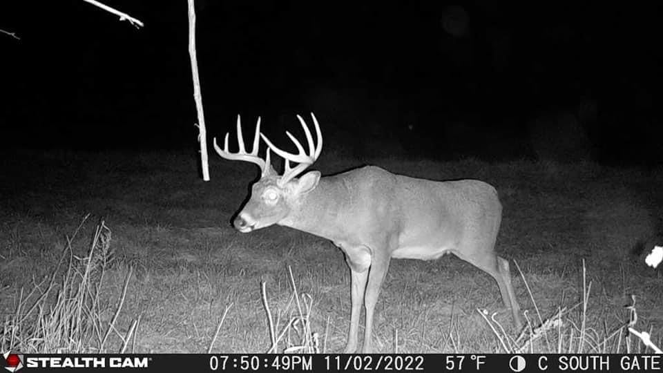 Stealth Cam Deceptor NO GLO 80ft Detection & IR Range 40MP Photo 1440P HD Video Capture Remote App Contol Wireless Hunting Cellular Trail Camera - Available on AT&T & Verizon