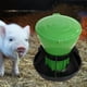 thumbnail image 4 of Alimentador Automático De Cerdos, Comedero De Forraje Para Valla, Ganado, Animales Peque?os, 44cm X 45cm Sunnimix Tragamonedas de forraje para lechones, 4 of 8
