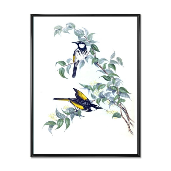 Ancient Australian Birds On A Branch 12 in x 20 in Framed Painting Canvas Art Print, by Designart