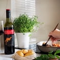 thumbnail image 4 of Vino Tinto Yellow Tail Jammy Red Roo 750ml, 4 of 4