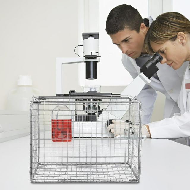 YSNOOWE Cesta De Acero Inoxidable Con Para Limpieza Ultrasónica Y Uso Doméstico