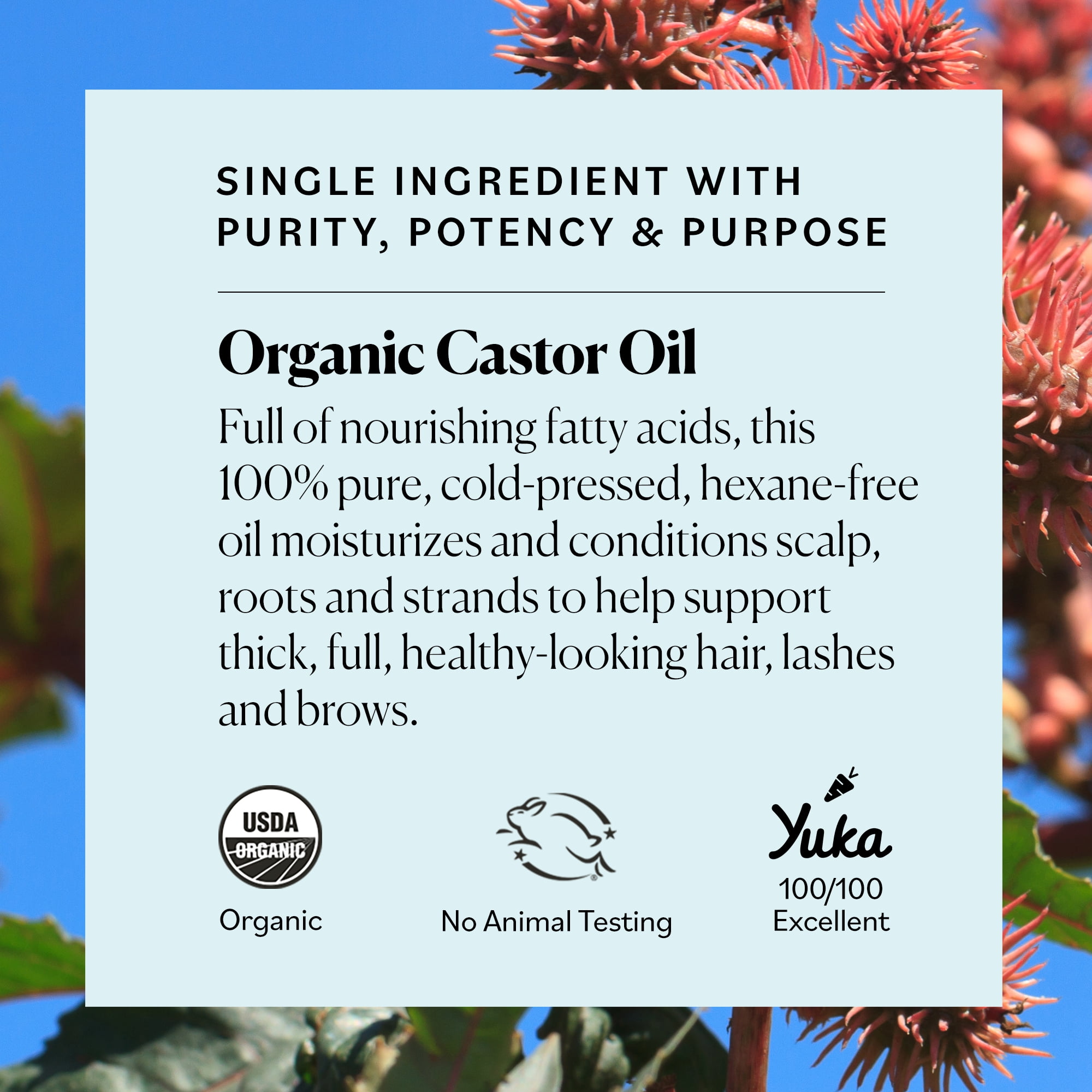 Sky Organics Organic Castor Oil to Condition for Hair, Lashes, and Brows, 6 fl oz