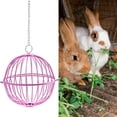 thumbnail image 3 of Rabbit Feeder Ball - 5.1inch Stainless Steel Hanging Feed Dispenser for Bunny Hamster Guinea Pig Rat Chinchilla, 3 of 8