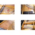 thumbnail image 4 of Grand Piano Soundboard Cleaner Kit Set - Keep Piano Clean - 2 Sizes, Extendable, 4 of 4