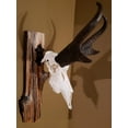 thumbnail image 5 of Buck Bracket - European Deer Skull Mount Hanger by Skull Bracket, Bronze, 5 of 8