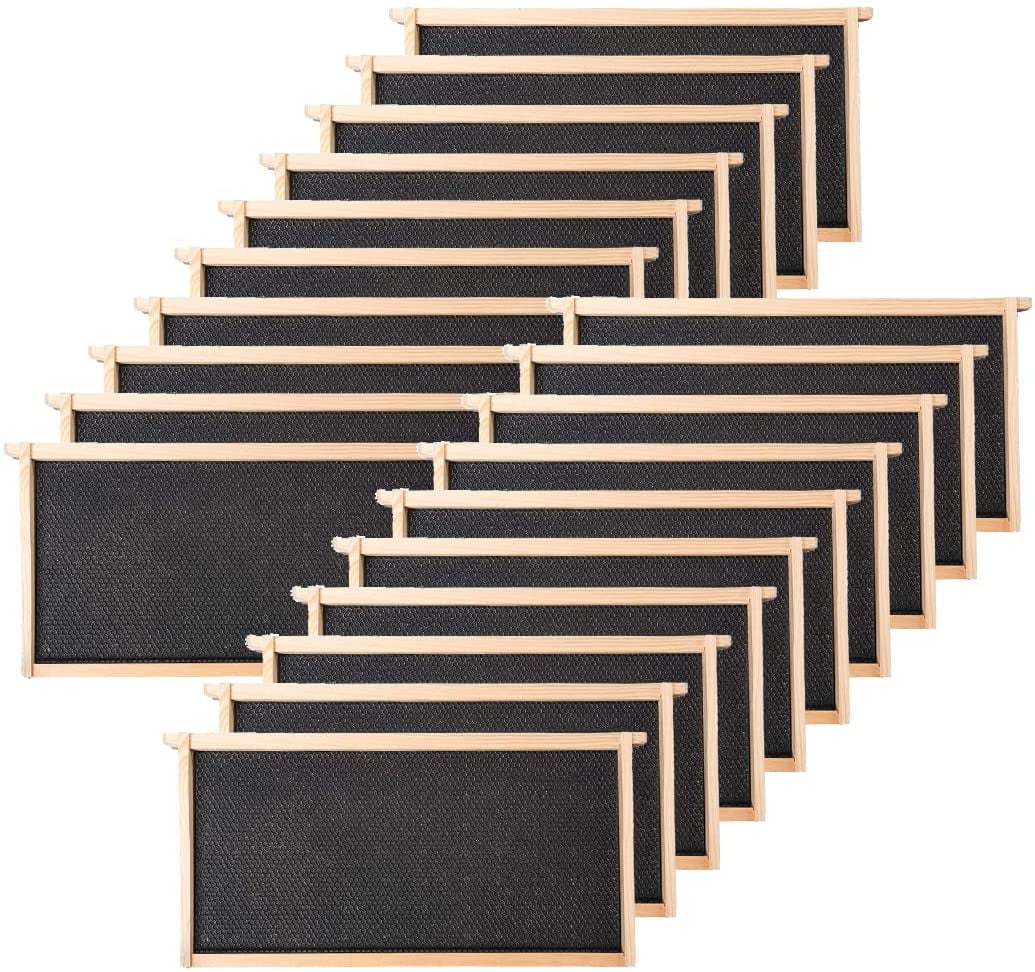 BeeCastle 10-Pack Waxed Foundation with Complete Unassembled Commercial Frames 6-1/4-Inch 
