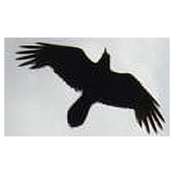 Moon Bros - These Stars - Music & Performance - CD