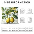thumbnail image 5 of Lemon Throw Pillow Covers Summer Fruit Farmhouse Decorative Pillows Case Soft Velvet Cushion Covers for Couch Sofa Patio Garden Home Decor, 5 of 5