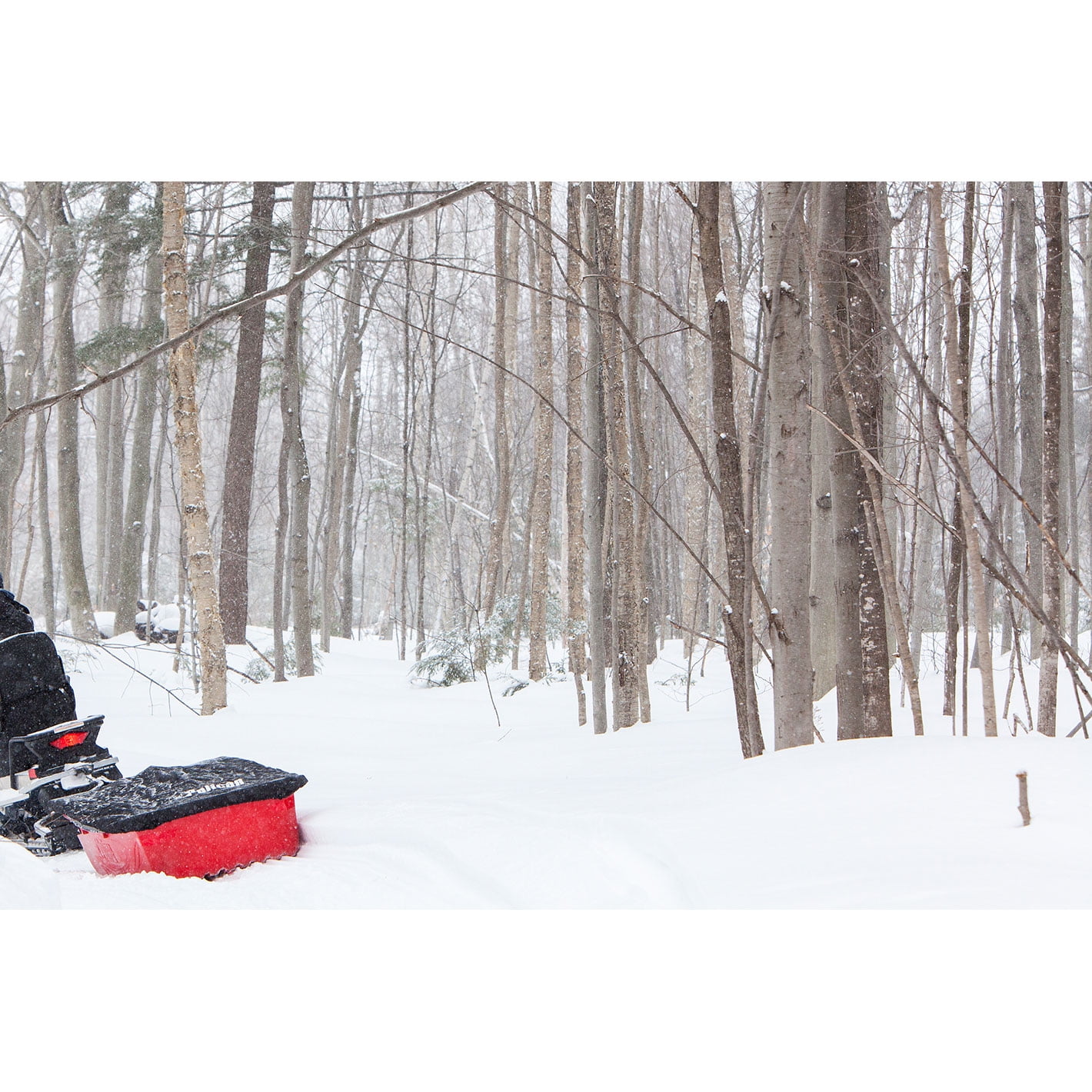 Pelican - Trek Sport 75 Utility Sled