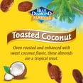 Blue Diamond Almonds Toasted Coconut Flavored 6 oz. Can