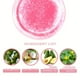 thumbnail image 3 of Peach Lip Scrub Exfoliating Fade Lip Lines Removing Dead Skin Moisturizing Care Makeup, 3 of 4