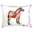 thumbnail image 3 of Shetland Pony No Cord Pillow 16x20, 3 of 3