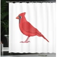 thumbnail image 3 of Ambesonne Cardinal Shower Curtain, Cartoon Red Bird Drawing, 69"Wx84"L, Dark Pink and Slate Blue, 3 of 4