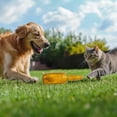 thumbnail image 4 of Tennis Ball in Bottle Dog Toy, Reinforced and Thickened Rubber Bottle Dog Chew Toy with Ball Squeaky Fetch Toy Tough, 4 of 6