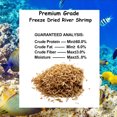 thumbnail image 3 of Amzey 2 Pack 0.5 oz Freeze Dried River Shrimp Reptile Food, Aquatic Turtle Food, Tropical Fish Food, Frog Food, 1 oz Total, 3 of 5