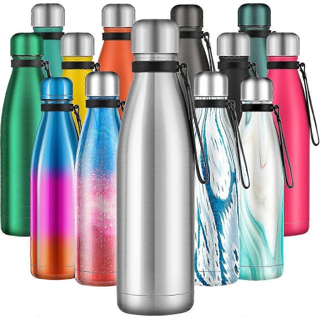 Stainless Steel Water Bottle, 500ml Water Bottle BPA Free, 12 Hrs Hot/24 Hrs Cold, Leakproof Water Flasks(Silver)