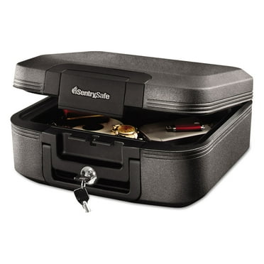 Sentry Safe 0.28 cu. ft. Capacity, Fire Safe, Gray CFW20201