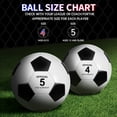 thumbnail image 3 of Balón de fútbol oficial HyDren, tamaño 4/5 con bomba, juego de 4, 3 of 6