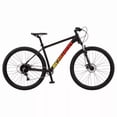 SCHWINN 29