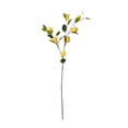 thumbnail image 1 of Artificial Lemon Branch Decorations High Simulation Vivid Lemon Farmhouse Style Home Decor for Living Room, 1 of 8
