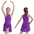 thumbnail image 2 of Aislor Kids Girls Sleeveless Halter Neck Figure Ice Skating Lyrical Modern Contemporary Ballet Dance Dress Purple 14, 2 of 7