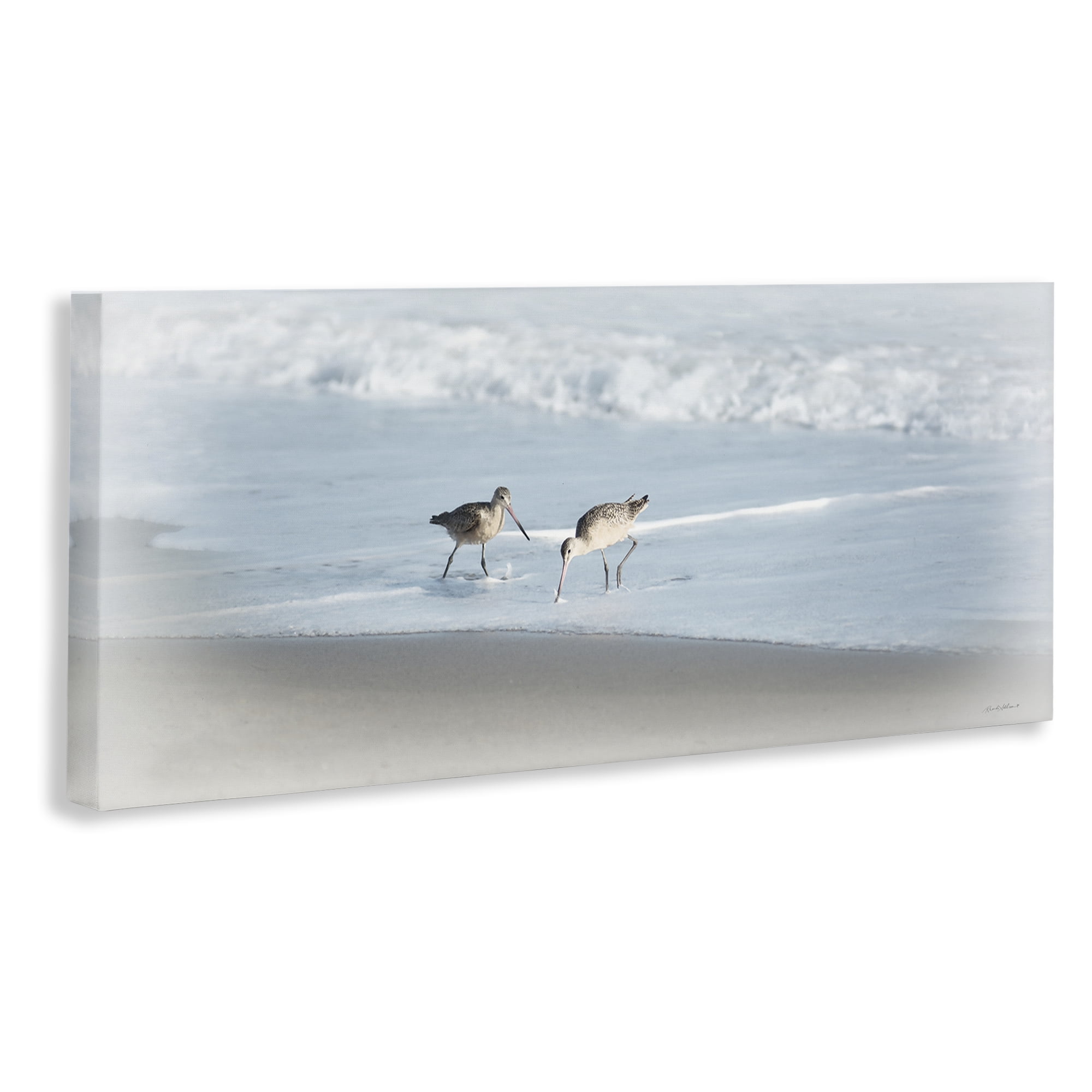 Stupell Industries Sandpiper Pair on Shore Nautical & Beach Painting Wrapped Canvas Art Print Wall Art, 24 x 10