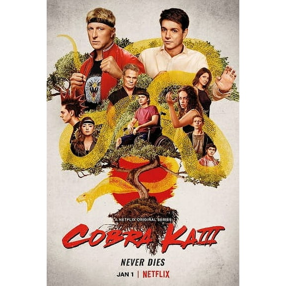 Cobra Kai Movie Poster Print (27 x 40) - Item # MOVAB09165